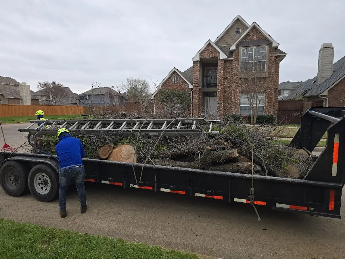 Expert Lot Clearing with proper safety equipment in Peerless